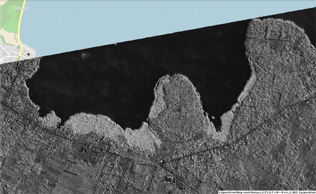 さくらインターネット、衛星データプラットフォーム「Tellus」にてトンガ火山噴火の衛星画像を公開